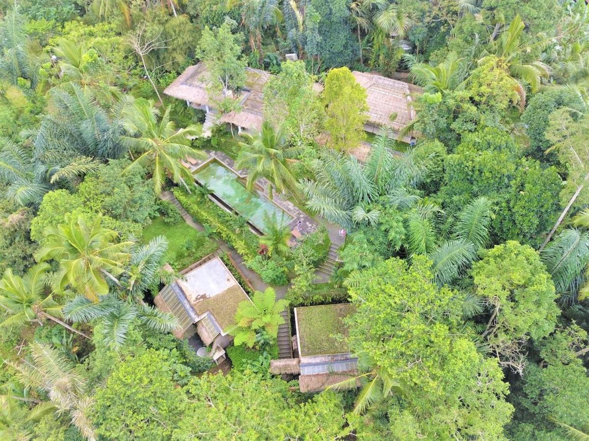 Villa Rimba Ubud Теґалаланґ Екстер'єр фото