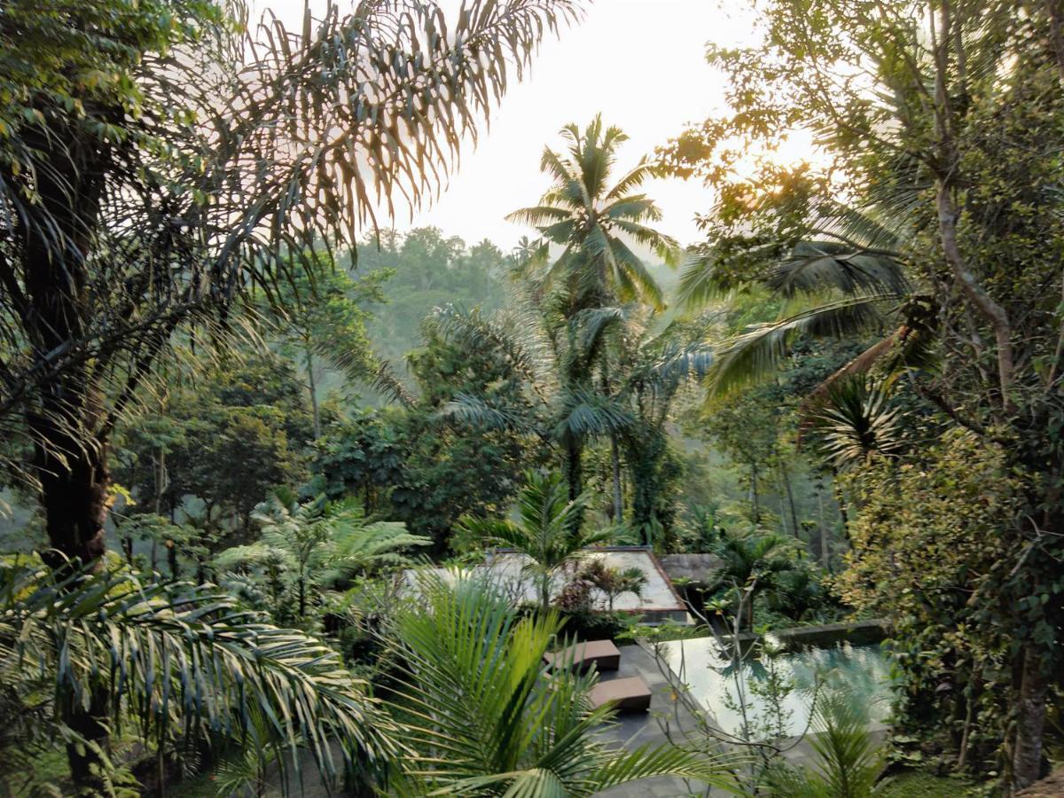 Villa Rimba Ubud Теґалаланґ Екстер'єр фото