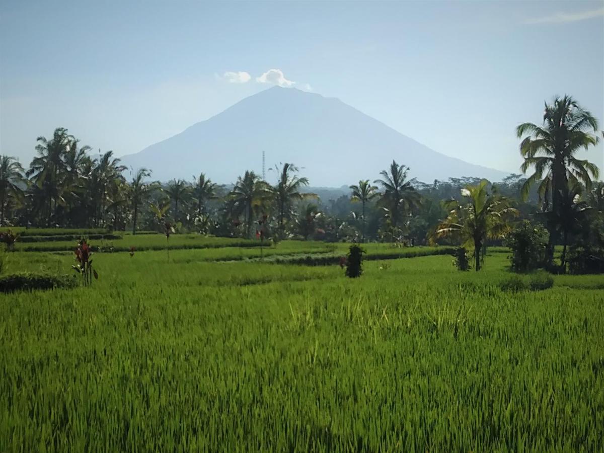 Villa Rimba Ubud Теґалаланґ Екстер'єр фото