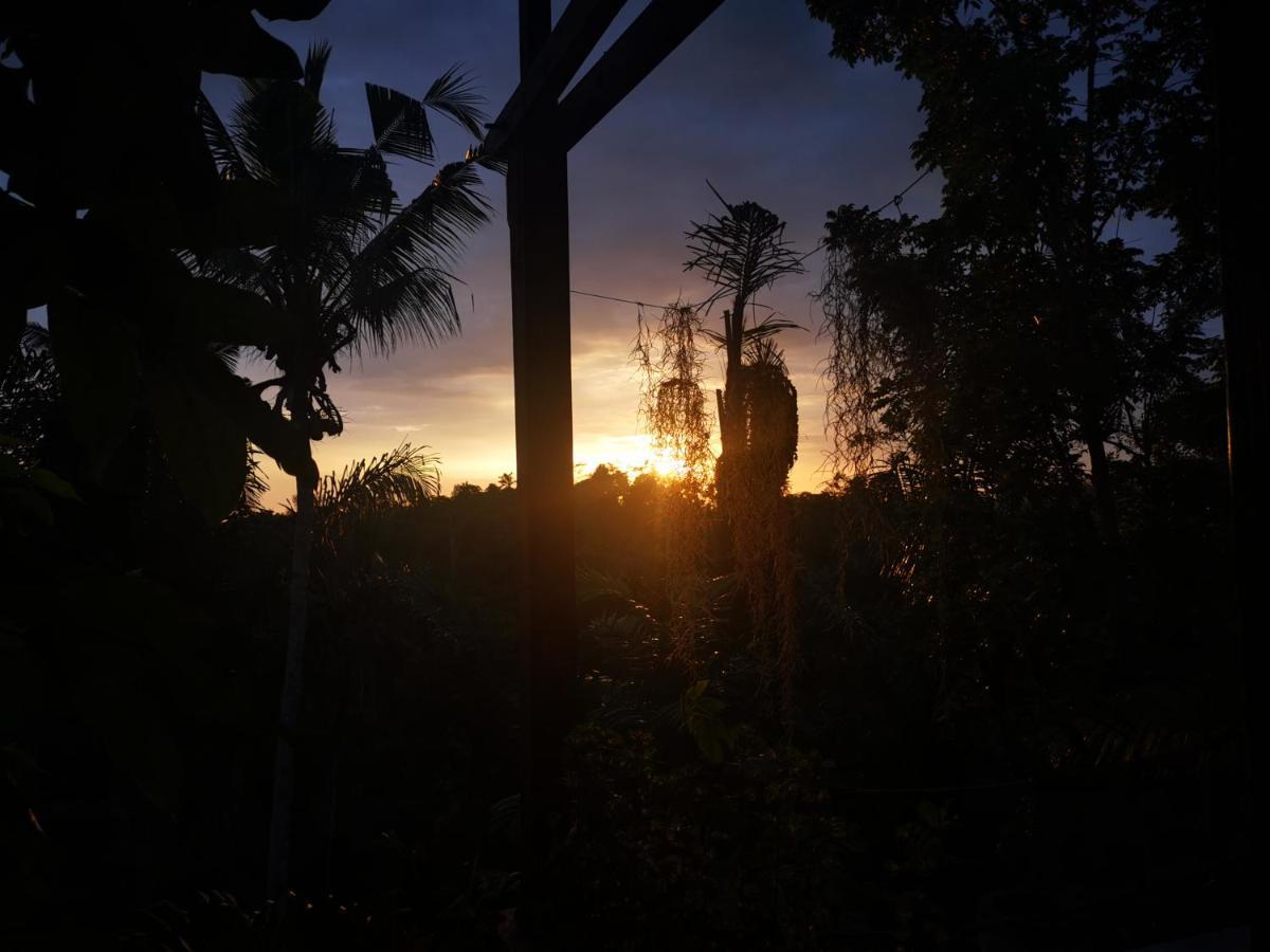 Villa Rimba Ubud Теґалаланґ Екстер'єр фото